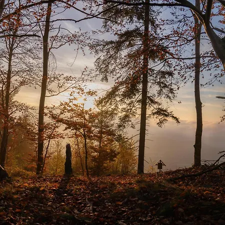 Glamping-steiermark Pöllauberg