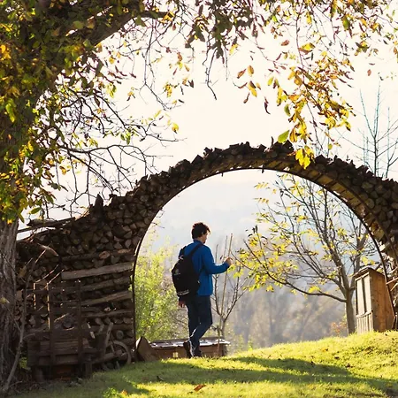 Glamping-steiermark *