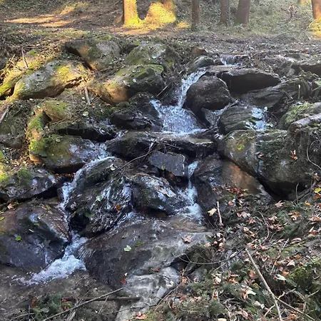 Glamping-steiermark